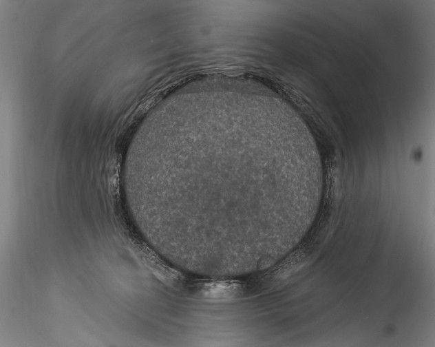 X0000115320274200911301605