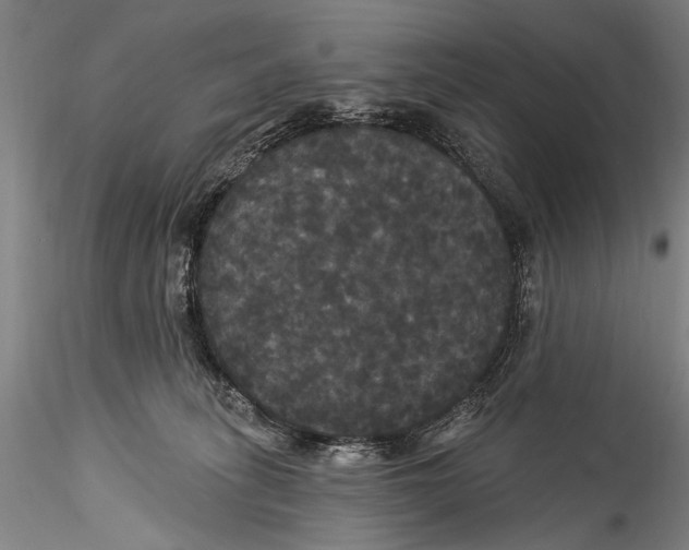 X0000115320275200911301605