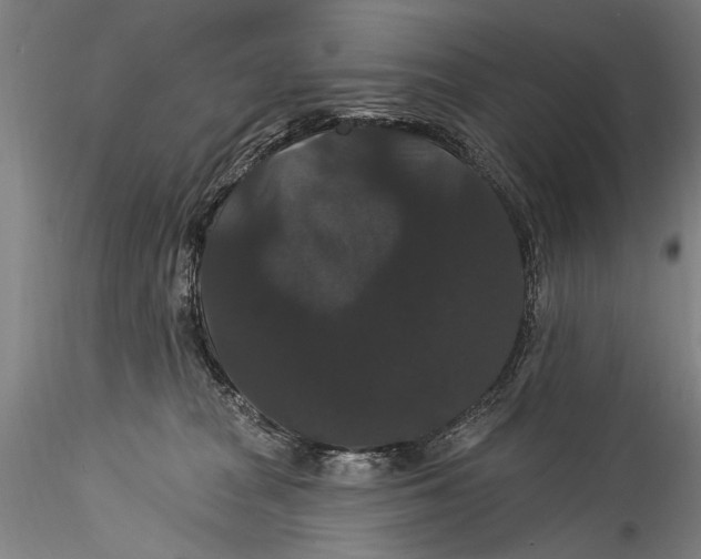 X0000115320277200911301605