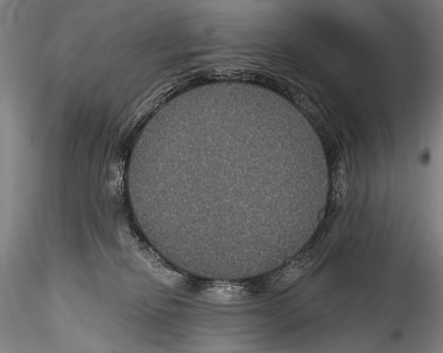 X0000115320278200911301605