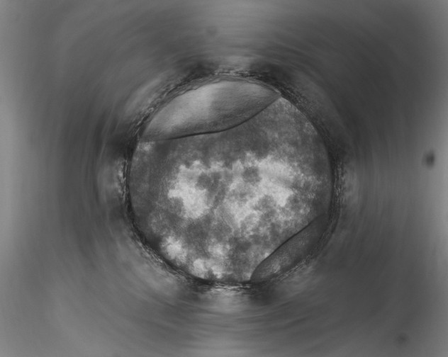 X0000115320280200911301605