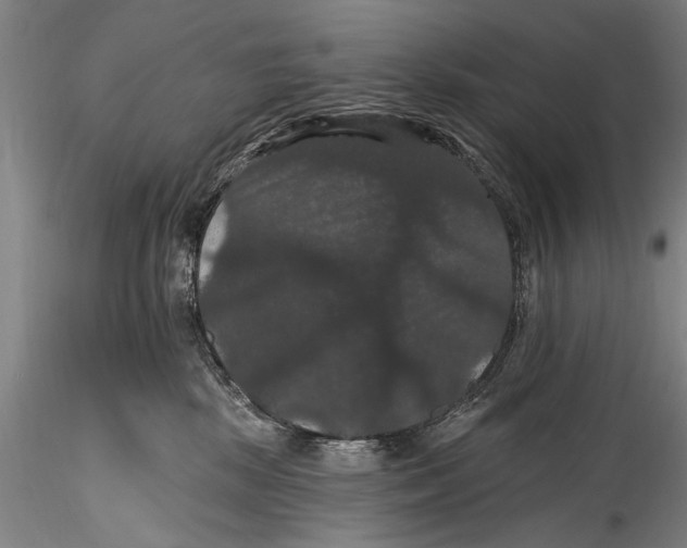 X0000115320281200911301605