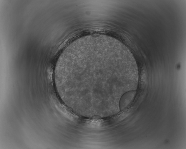 X0000115320282200911301605