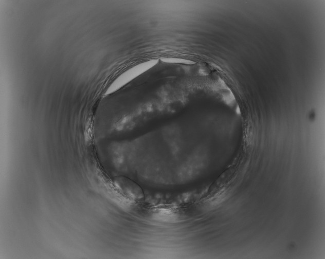 X0000115320285200911301605