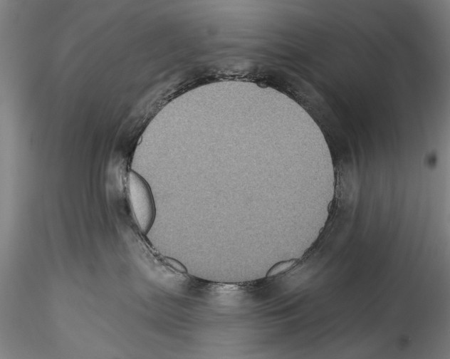 X0000115320287200911301605