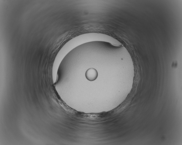 X0000115320288200911301605