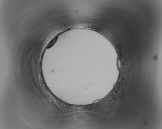 X0000115320289200911301605