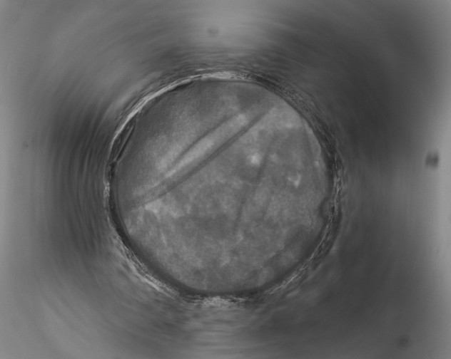 X0000115320290200911301605