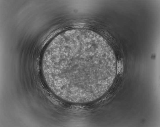 X0000115320291200911301605