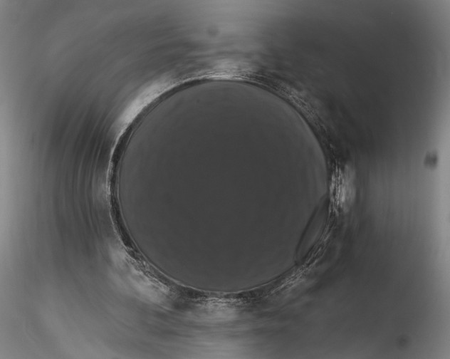 X0000115320292200911301605