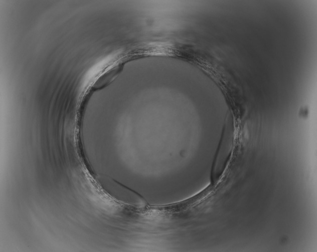 X0000115320293200911301605