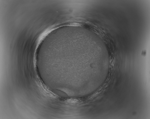 X0000115320294200911301605