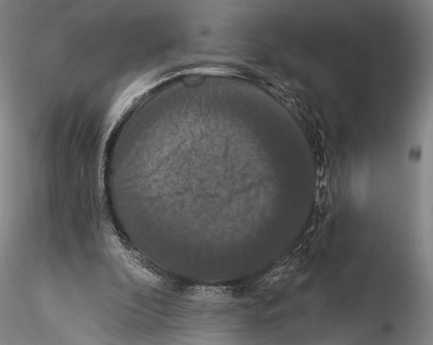 X0000115320296200911301604