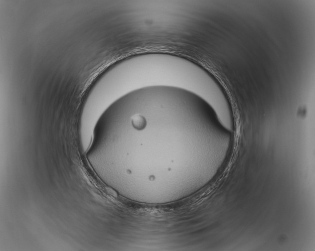 X0000115320297200911301604