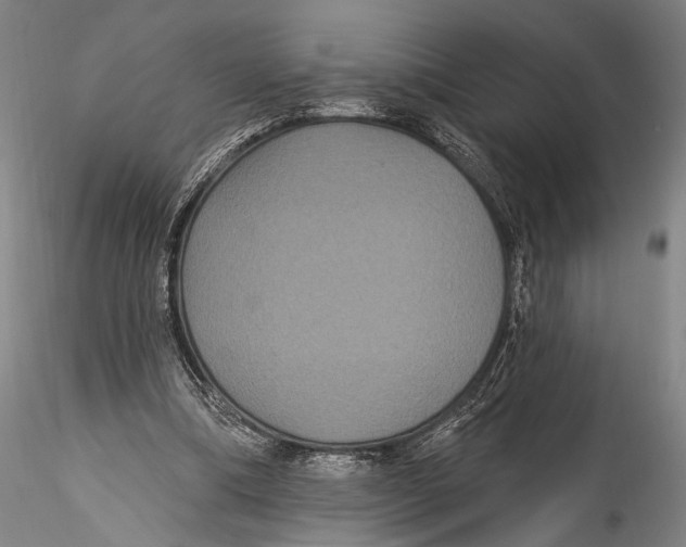 X0000115320298200911301604