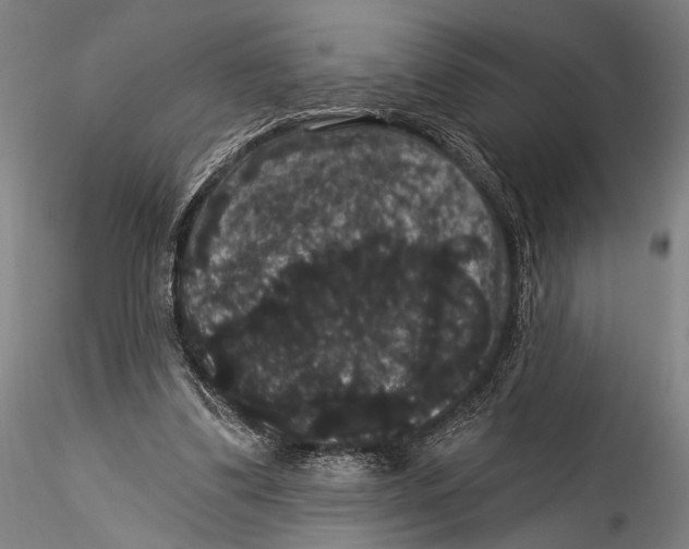 X0000115320299200911301604