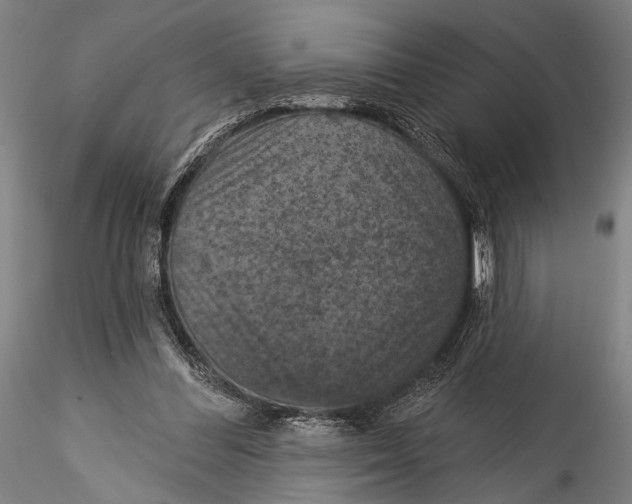 X0000115320300200911301604