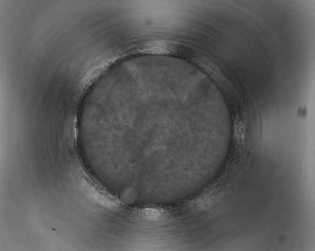 X0000115320302200911301604