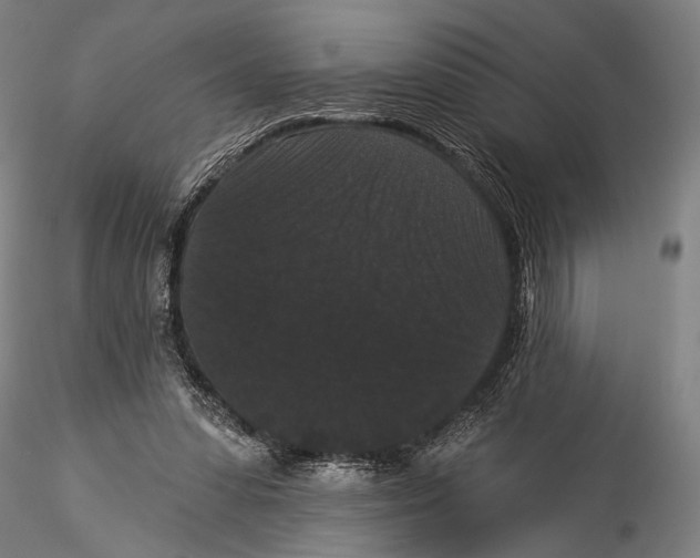 X0000115320303200911301604