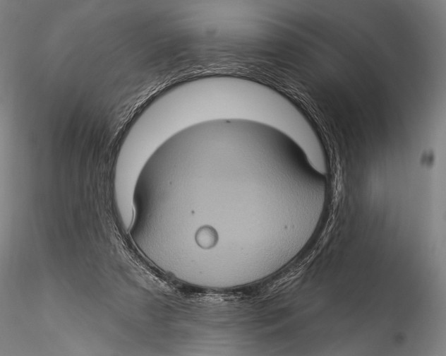 X0000115320305200911301604