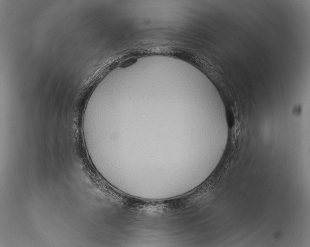 X0000115320306200911301604