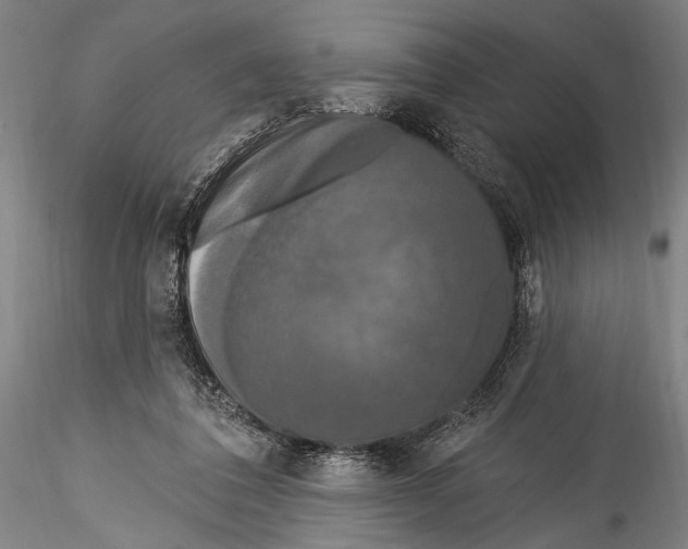 X0000115320308200911301604