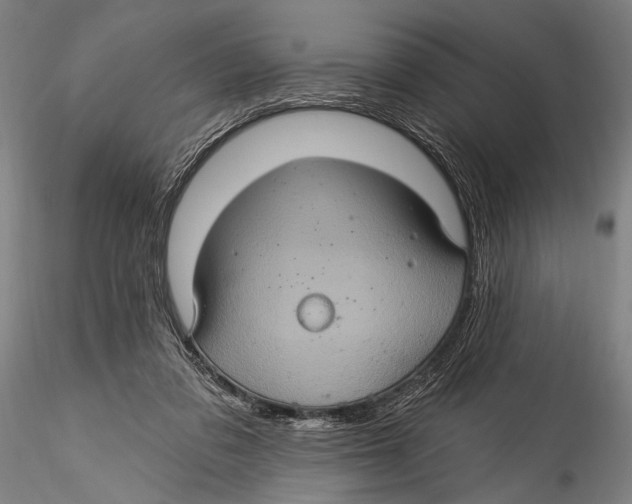 X0000115320309200911301604