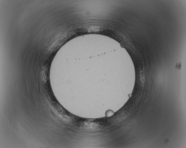 X0000115320311200911301604