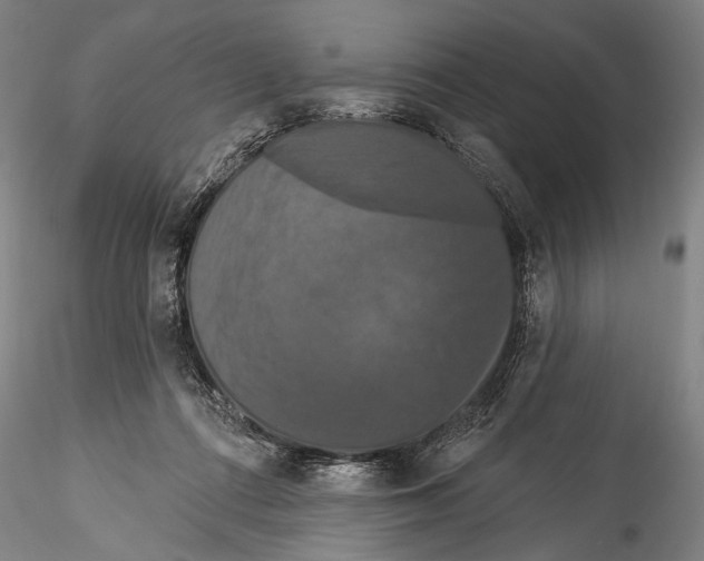 X0000115320312200911301604