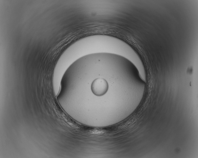 X0000115320313200911301604