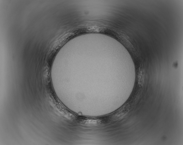 X0000115320314200911301604