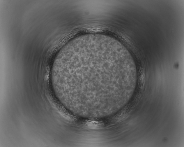 X0000115320315200911301604