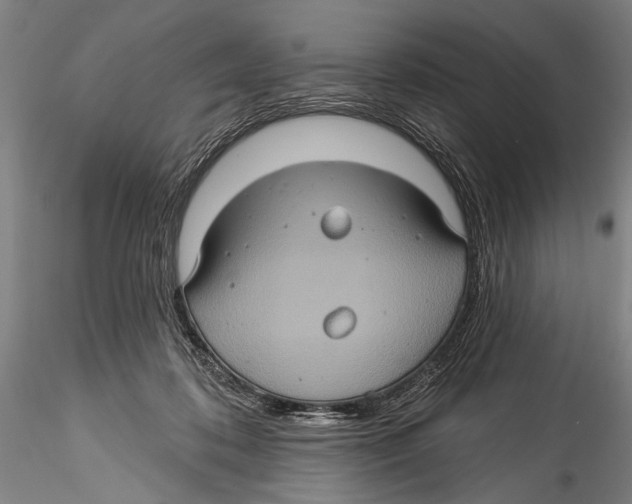 X0000115320316200911301604