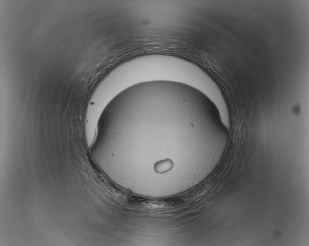 X0000115320317200911301604