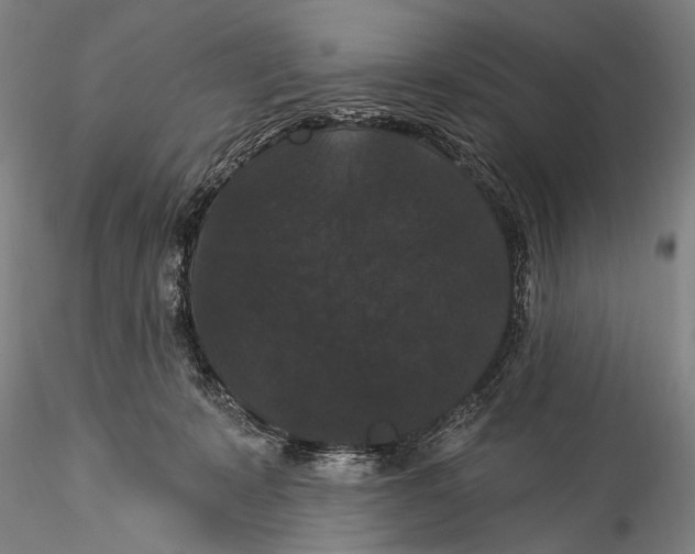 X0000115320319200911301604