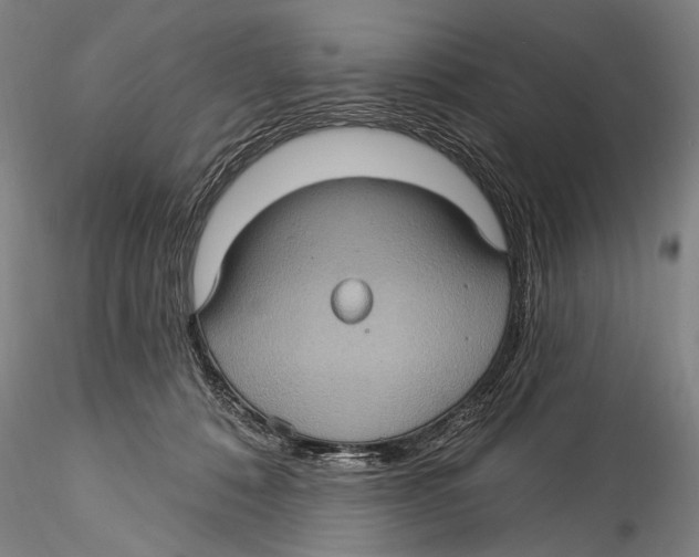 X0000115320320200911301604