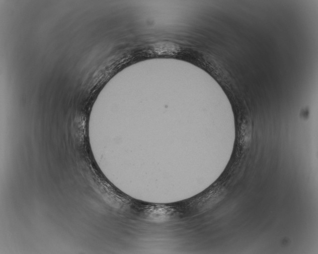 X0000115320321200911301604