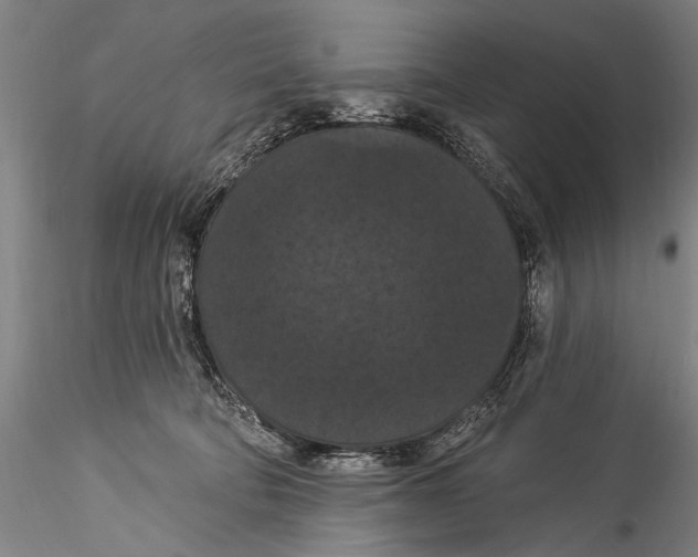 X0000115320322200911301604