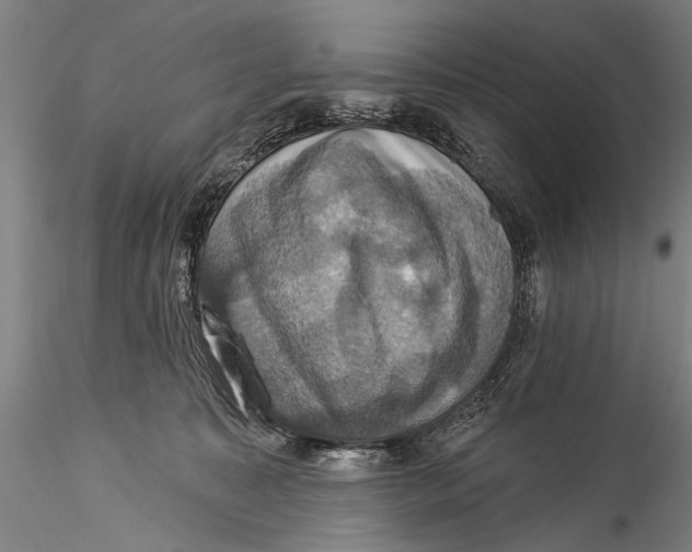 X0000115320323200911301604