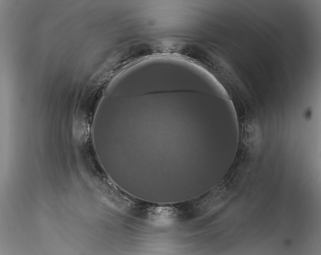 X0000115320324200911301604