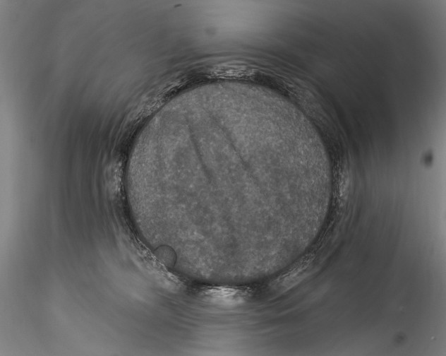 X0000115320326200911301604