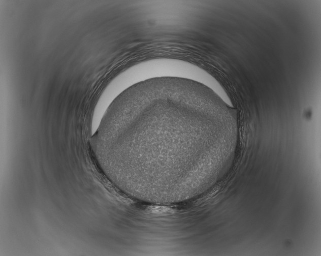 X0000115320327200911301604