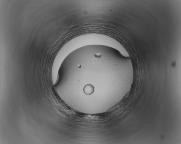 X0000115320328200911301604