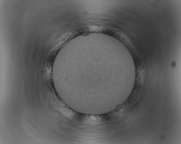 X0000115320329200911301604