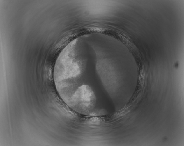 X0000115320330200911301604