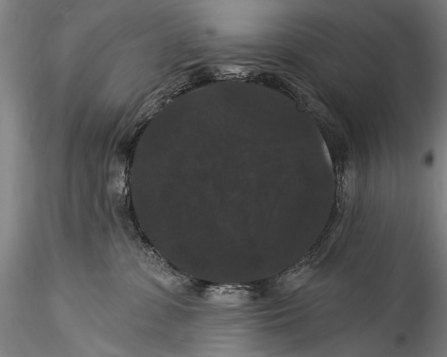 X0000115320331200911301604