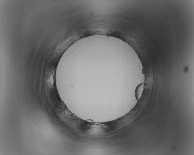 X0000115320334200911301604