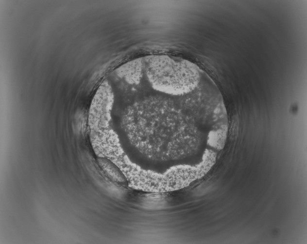 X0000115320335200911301604