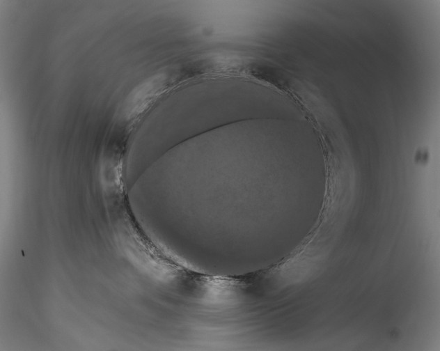 X0000115320336200911301604