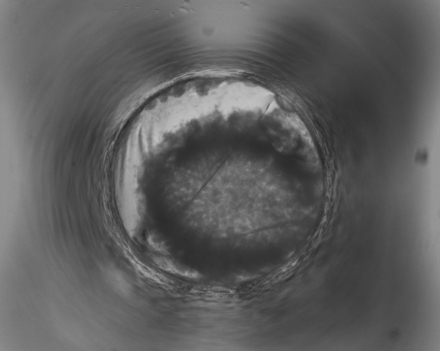 X0000115320337200911301603